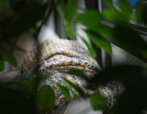 Tips for Creating a Cozy and Inviting Home Environment